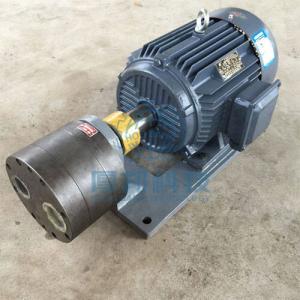 WBZ Series gear Pump Motor Device